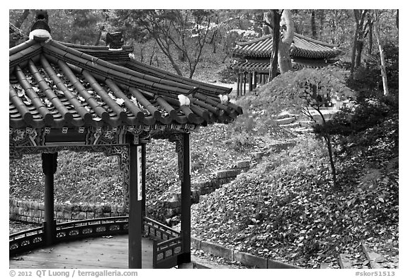 Pavilions in autumn, Changdeok Palace gardens. Seoul, South Korea (black and white)
