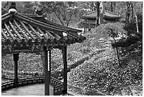 Pavilions in autumn, Changdeok Palace gardens. Seoul, South Korea (black and white)