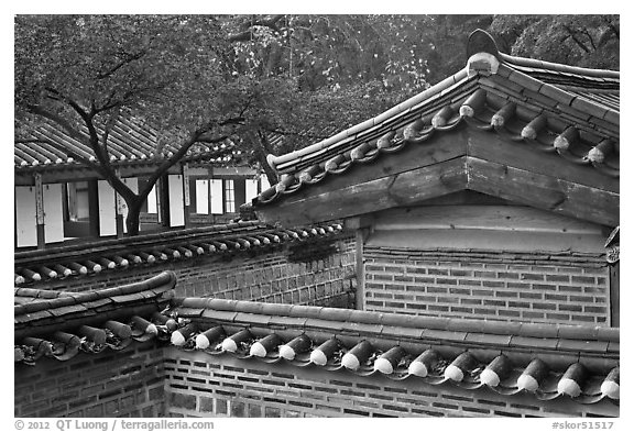 Wall and rooftop details, Yeongyeong-dang, Changdeok Palace. Seoul, South Korea (black and white)