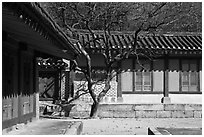 Jeongsa-cheong, Jongmyo royal ancestral shrine. Seoul, South Korea ( black and white)
