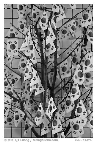 Sappling decorated with Korean flags. Seoul, South Korea (black and white)