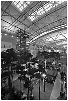 Trees inside Incheon international main terminal. South Korea ( black and white)