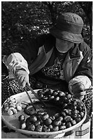 Woman grilling chestnuts. Daegu, South Korea ( black and white)