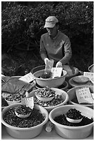 Man selling natural ingredients. South Korea ( black and white)