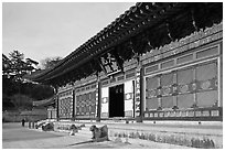 Daejeokkwangjeon (main hall), Haein-sa Temple. South Korea ( black and white)