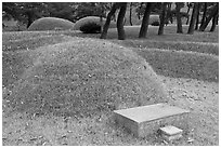 Burial mounds. Hahoe Folk Village, South Korea (black and white)