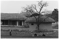 Villagers cultivating fields by hand in front of straw roofed houses. Hahoe Folk Village, South Korea ( black and white)