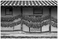 House wall with greens drying. Hahoe Folk Village, South Korea ( black and white)