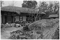 House and fence with straw roofing. Hahoe Folk Village, South Korea ( black and white)
