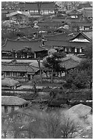 View from above. Hahoe Folk Village, South Korea (black and white)