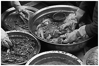 Hands seen mixing kim chee. Gyeongju, South Korea ( black and white)