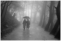 Nuns walking with unbrella on foggy path, Seokguram. Gyeongju, South Korea (black and white)