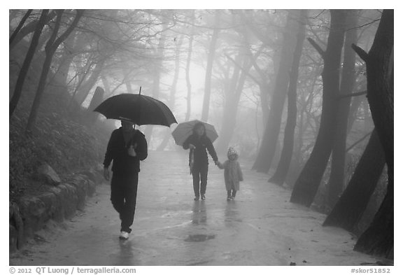 Family walking on path in the rain, Seokguram. Gyeongju, South Korea (black and white)