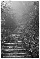 Stairs leading to grotto, Seokguram. Gyeongju, South Korea ( black and white)
