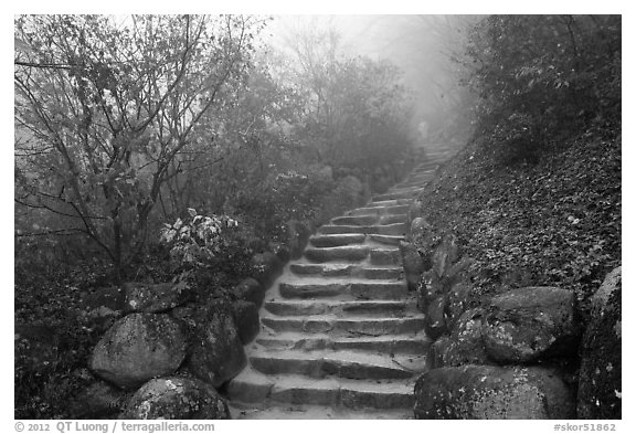 Stone stairs in fog, Seokguram. Gyeongju, South Korea (black and white)