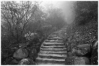 Stone stairs in fog, Seokguram. Gyeongju, South Korea ( black and white)