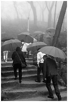 Pilgrims with red unbrellas, Seokguram. Gyeongju, South Korea ( black and white)