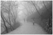 Tourist walking in fog, Seokguram. Gyeongju, South Korea ( black and white)