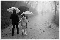 Family walking on misty path, Seokguram. Gyeongju, South Korea (black and white)