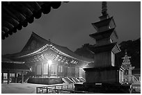 Seokgatap, Dabotap, and Daeungjeon at night, Bulguksa. Gyeongju, South Korea (black and white)