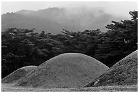 Barrows and misty mountains, Mt Namsan. Gyeongju, South Korea (black and white)