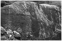 Yukjonbul carved on rock surface, Mt Namsan. Gyeongju, South Korea ( black and white)
