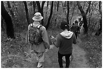 Monk and hikers on trail, Namsan Mountain. Gyeongju, South Korea ( black and white)