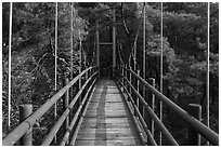 Suspension bridge, Namsan Mountain. Gyeongju, South Korea (black and white)