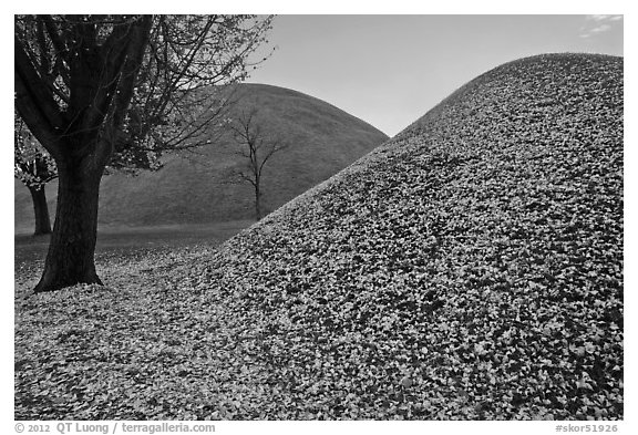 Grassy burial mounds in autumn. Gyeongju, South Korea (black and white)