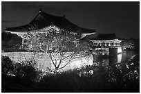 Donggung pavilions at night. Gyeongju, South Korea ( black and white)
