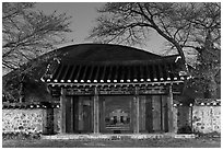 Royal tomb of King Michu of Silla by night. Gyeongju, South Korea (black and white)
