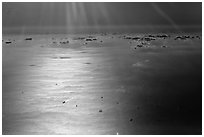 Aerial view of sea in early morning, Busan. South Korea ( black and white)