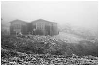 Witseoreum shelter in fog, Mount Halla. Jeju Island, South Korea (black and white)