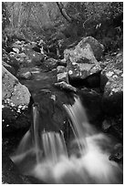 Cascading stream, Hallasan National Park. Jeju Island, South Korea (black and white)