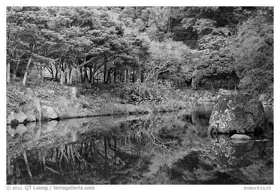 Reflections near Cheongjiyeon Pokpo, Seogwipo. Jeju Island, South Korea (black and white)