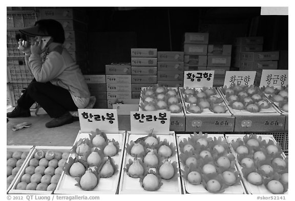 Tangerine fruit stand, Jeju. Jeju Island, South Korea (black and white)