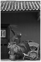 Trishaw, door, and roofing, Cheong Fatt Tze Mansion. George Town, Penang, Malaysia ( black and white)