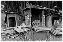 Spirit houses and banyan tree. George Town, Penang, Malaysia (black and white)