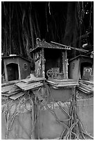Altars and banyan. George Town, Penang, Malaysia (black and white)