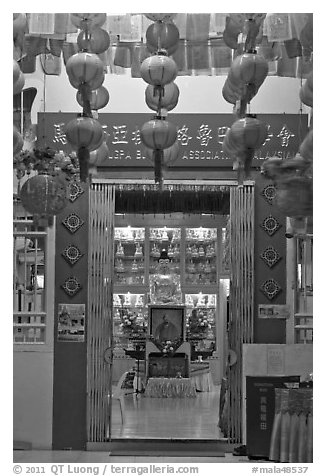 Penang Gelugpa Buddhist Association temple. George Town, Penang, Malaysia (black and white)