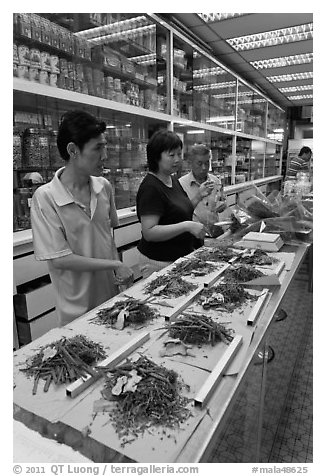 Chinese medicine herbs being packed on counter. Kuala Lumpur, Malaysia (black and white)