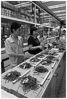 Chinese medicine herbs being packed on counter. Kuala Lumpur, Malaysia ( black and white)