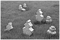 Simple tombstones, Kampung Kling Mosque cemetery. Malacca City, Malaysia ( black and white)