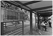 Bus stop with displays with expected wait time. Singapore ( black and white)