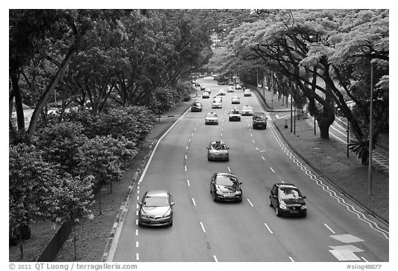 Expressway bordered by trees. Singapore (black and white)
