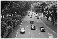 Expressway bordered by trees. Singapore ( black and white)