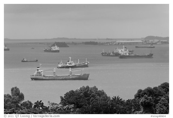 Large cargo ships, Singapore Strait. Singapore (black and white)