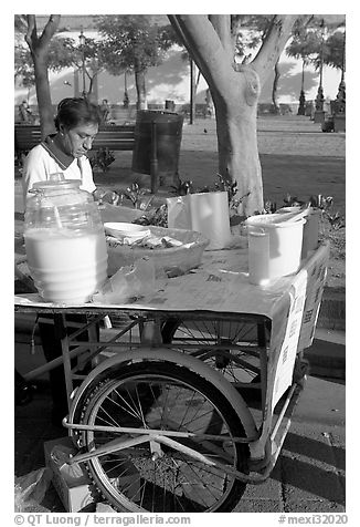 Food vendor with a wheeled food stand. Guadalajara, Jalisco, Mexico