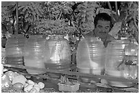 Multicolored drinks offered on a street stand. Guadalajara, Jalisco, Mexico ( black and white)