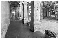 Corridor and small courtyard inside Hospicios de Cabanas. Guadalajara, Jalisco, Mexico ( black and white)